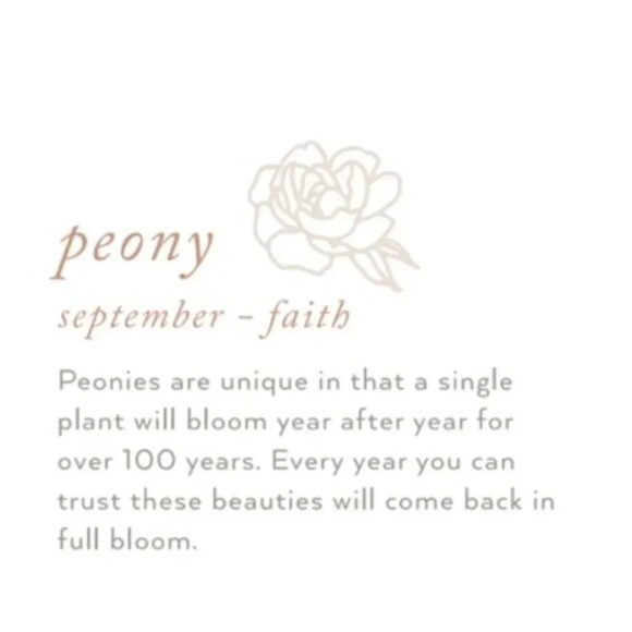 September Peony Birth Flower Bohemian Necklace - Picture 5 of 11